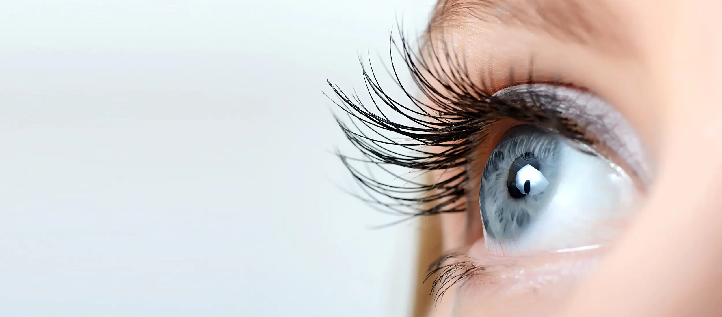 Close view of a blue eye